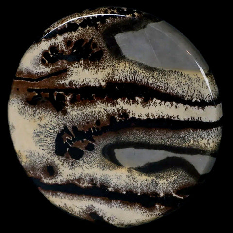 61MM Chinese Picture Jasper Mineral Specimen Round Polished Slab Liaoning, China - Fossil Age Minerals