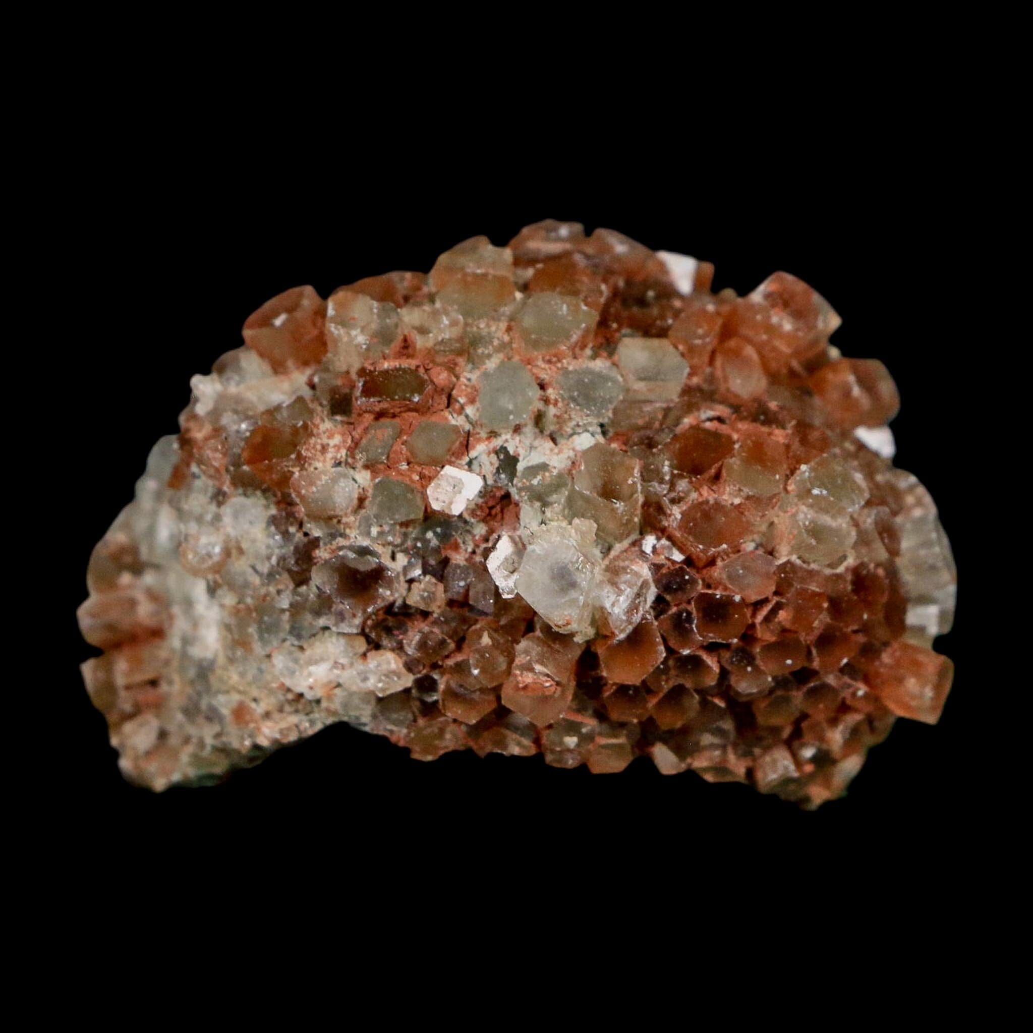 1.9" Aragonite Mineral Two Tone Crystal Cluster Specimen Tazouta Morocco - Fossil Age Minerals