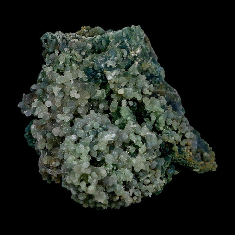 3.8" Green Grape Agate Botryoidal Crystal Druzy Cluster Mineral Sulawesi Island - Fossil Age Minerals