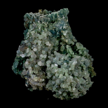 3.8" Green Grape Agate Botryoidal Crystal Druzy Cluster Mineral Sulawesi Island