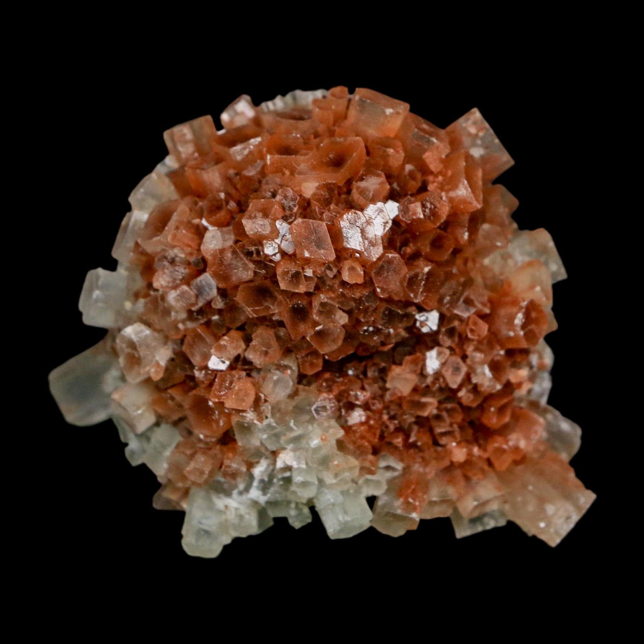 2.2" Aragonite Mineral Two Tone Crystal Cluster Specimen Tazouta Morocco - Fossil Age Minerals