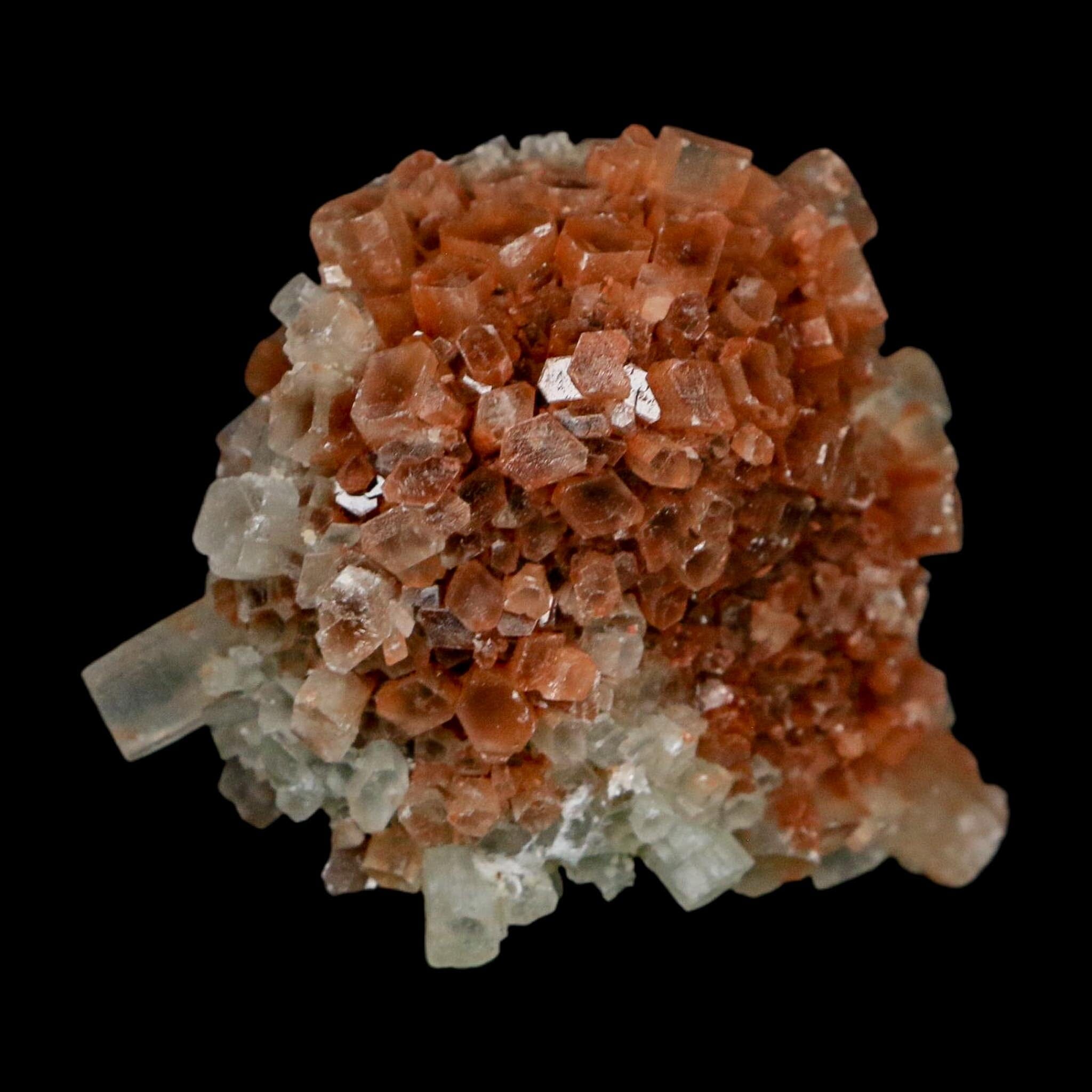 2.2" Aragonite Mineral Two Tone Crystal Cluster Specimen Tazouta Morocco - Fossil Age Minerals