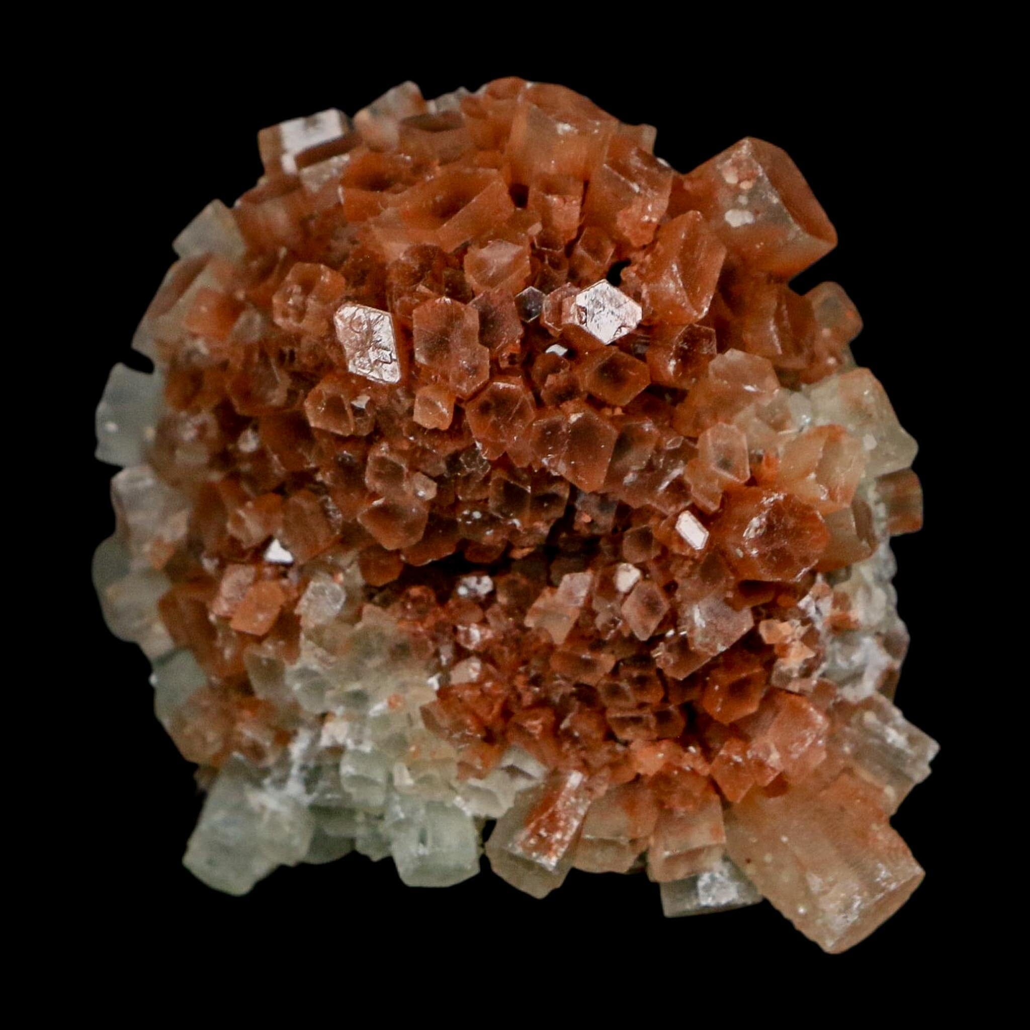 2.2" Aragonite Mineral Two Tone Crystal Cluster Specimen Tazouta Morocco - Fossil Age Minerals