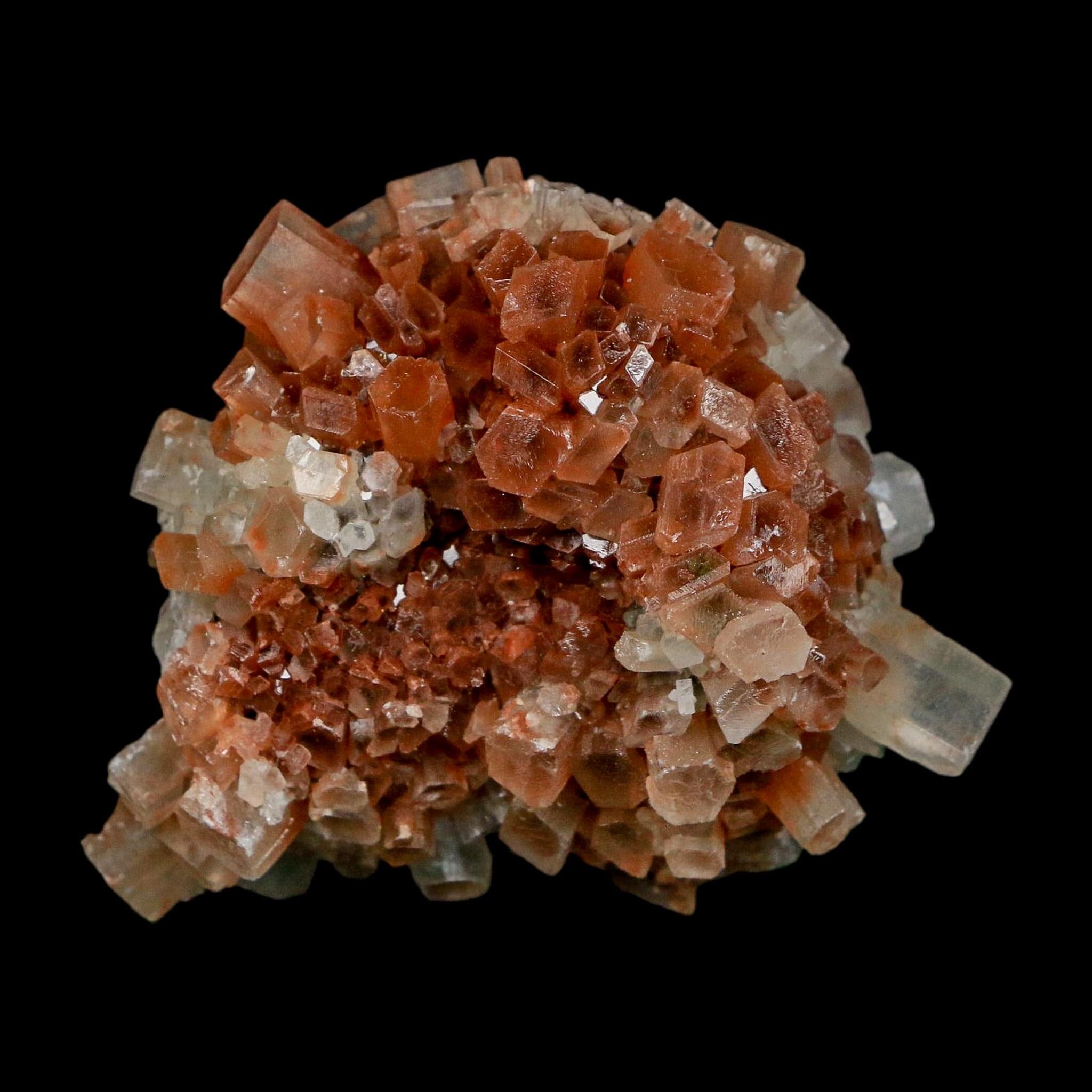 2.2" Aragonite Mineral Two Tone Crystal Cluster Specimen Tazouta Morocco - Fossil Age Minerals