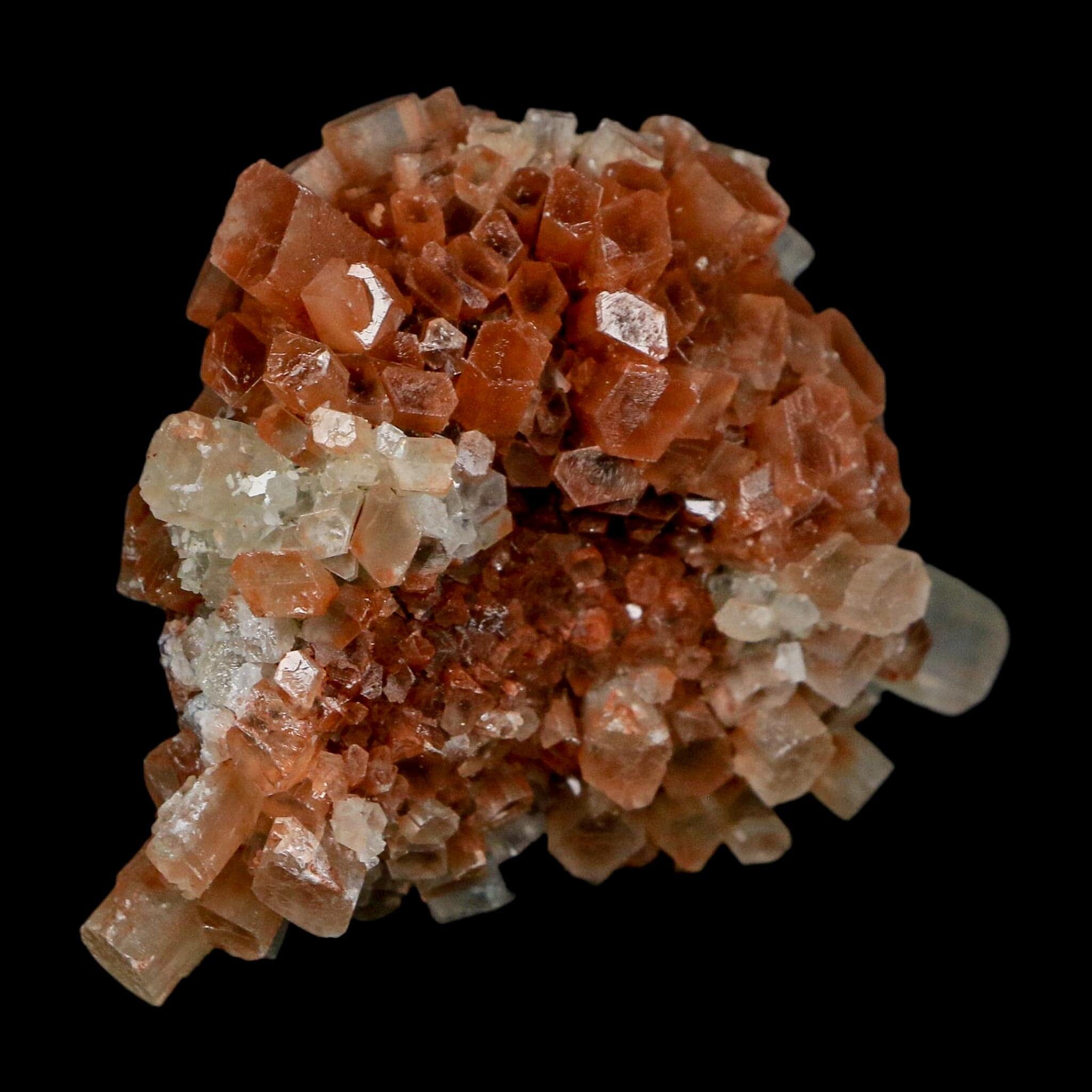 2.2" Aragonite Mineral Two Tone Crystal Cluster Specimen Tazouta Morocco - Fossil Age Minerals