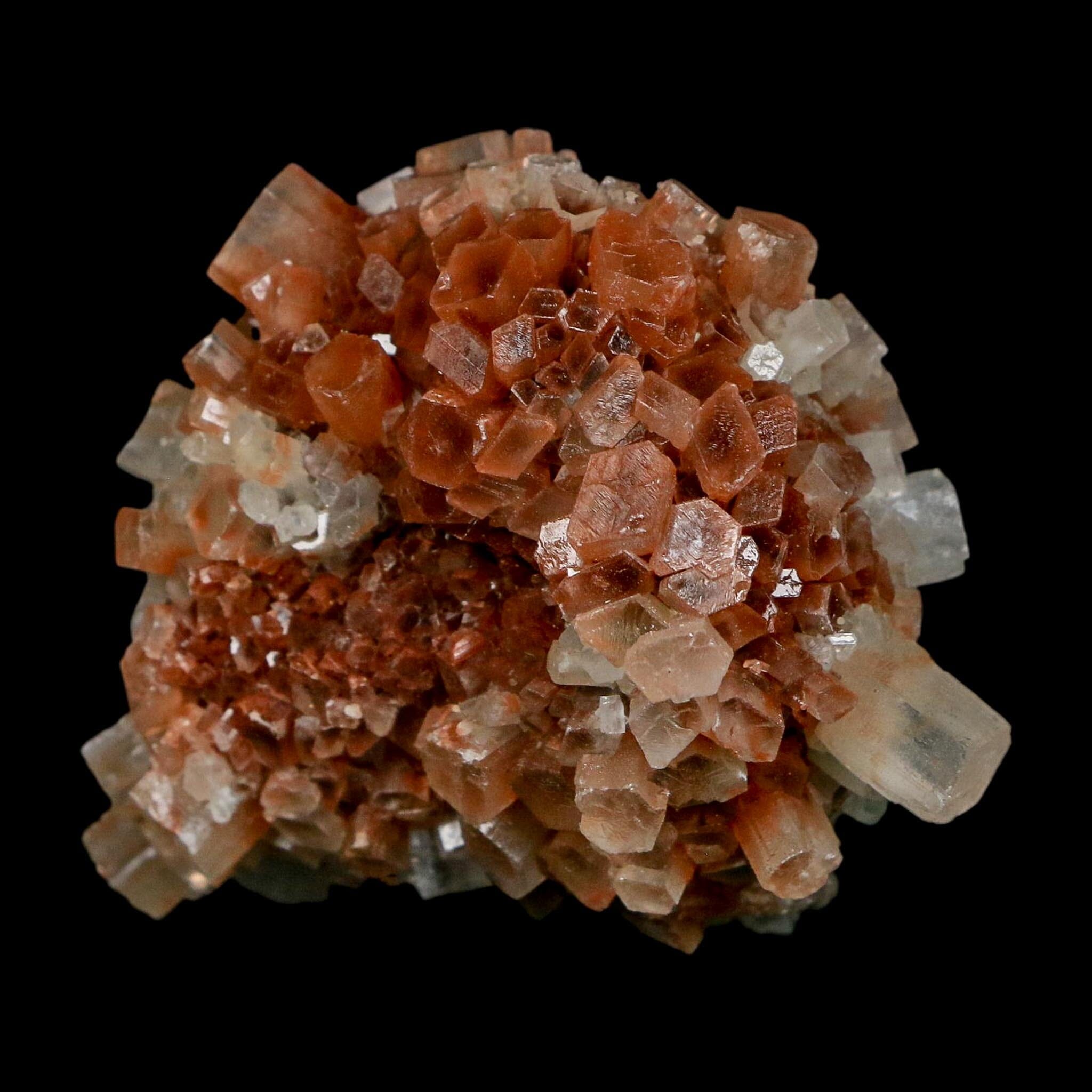2.2" Aragonite Mineral Two Tone Crystal Cluster Specimen Tazouta Morocco - Fossil Age Minerals