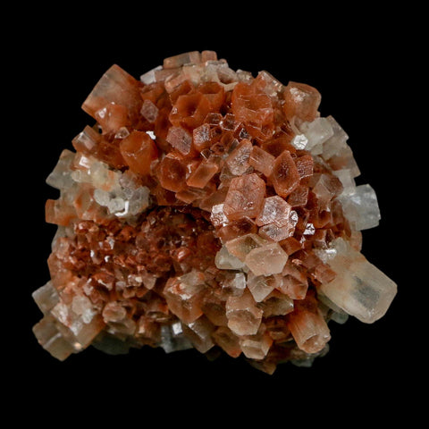 2.2" Aragonite Mineral Two Tone Crystal Cluster Specimen Tazouta Morocco