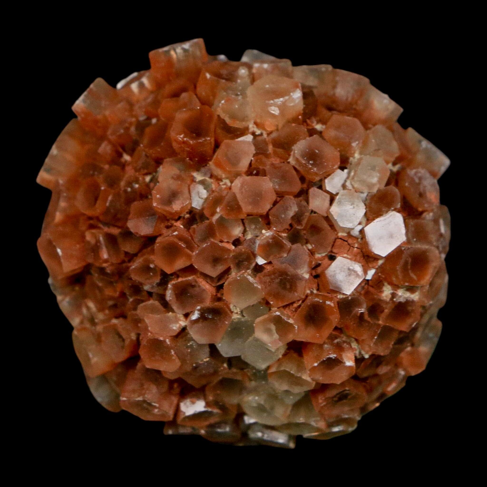 1.8" Aragonite Mineral Two Tone Crystal Cluster Specimen Tazouta Morocco - Fossil Age Minerals