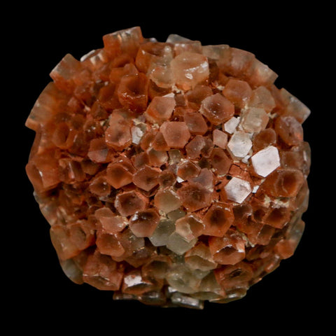 1.8" Aragonite Mineral Two Tone Crystal Cluster Specimen Tazouta Morocco