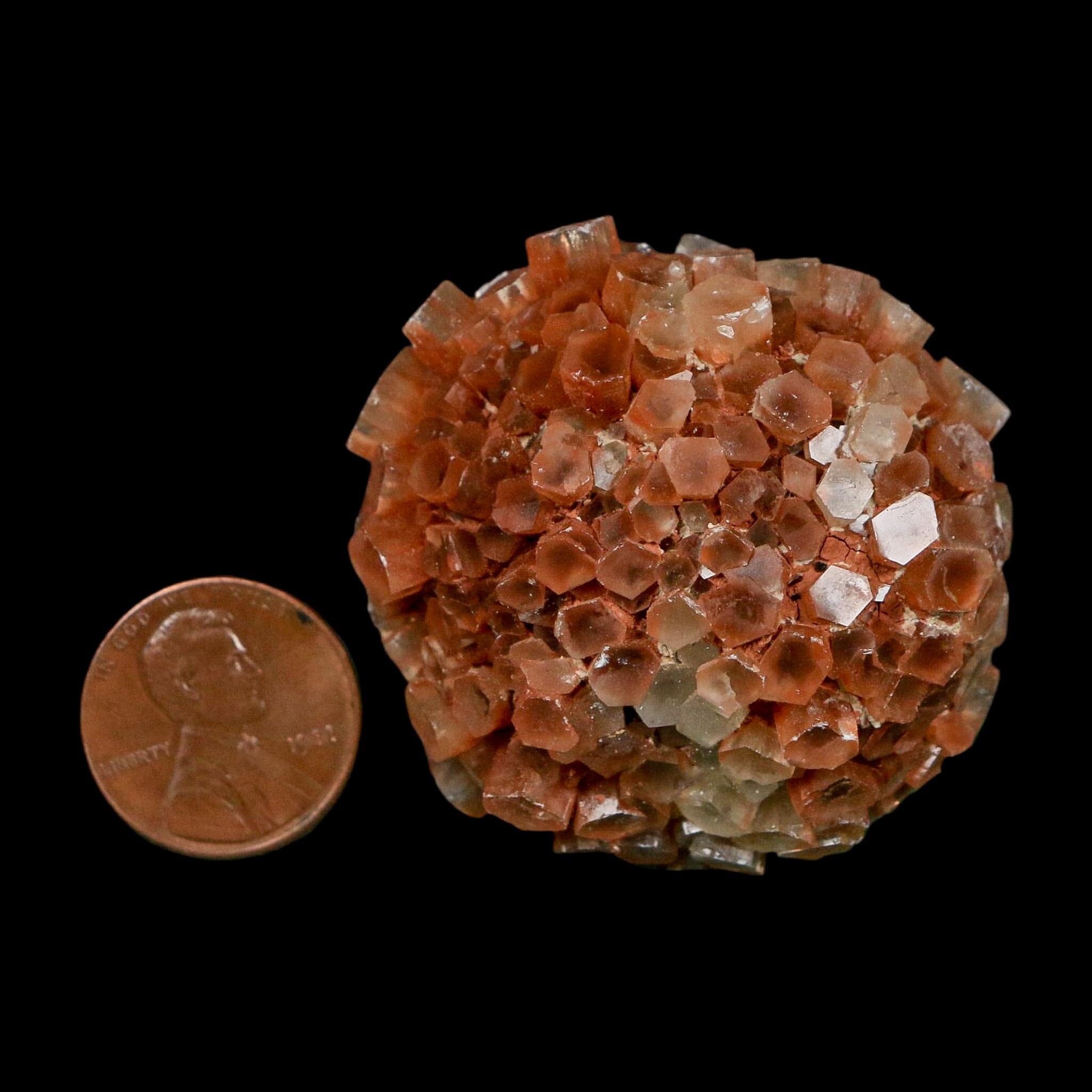 1.8" Aragonite Mineral Two Tone Crystal Cluster Specimen Tazouta Morocco - Fossil Age Minerals