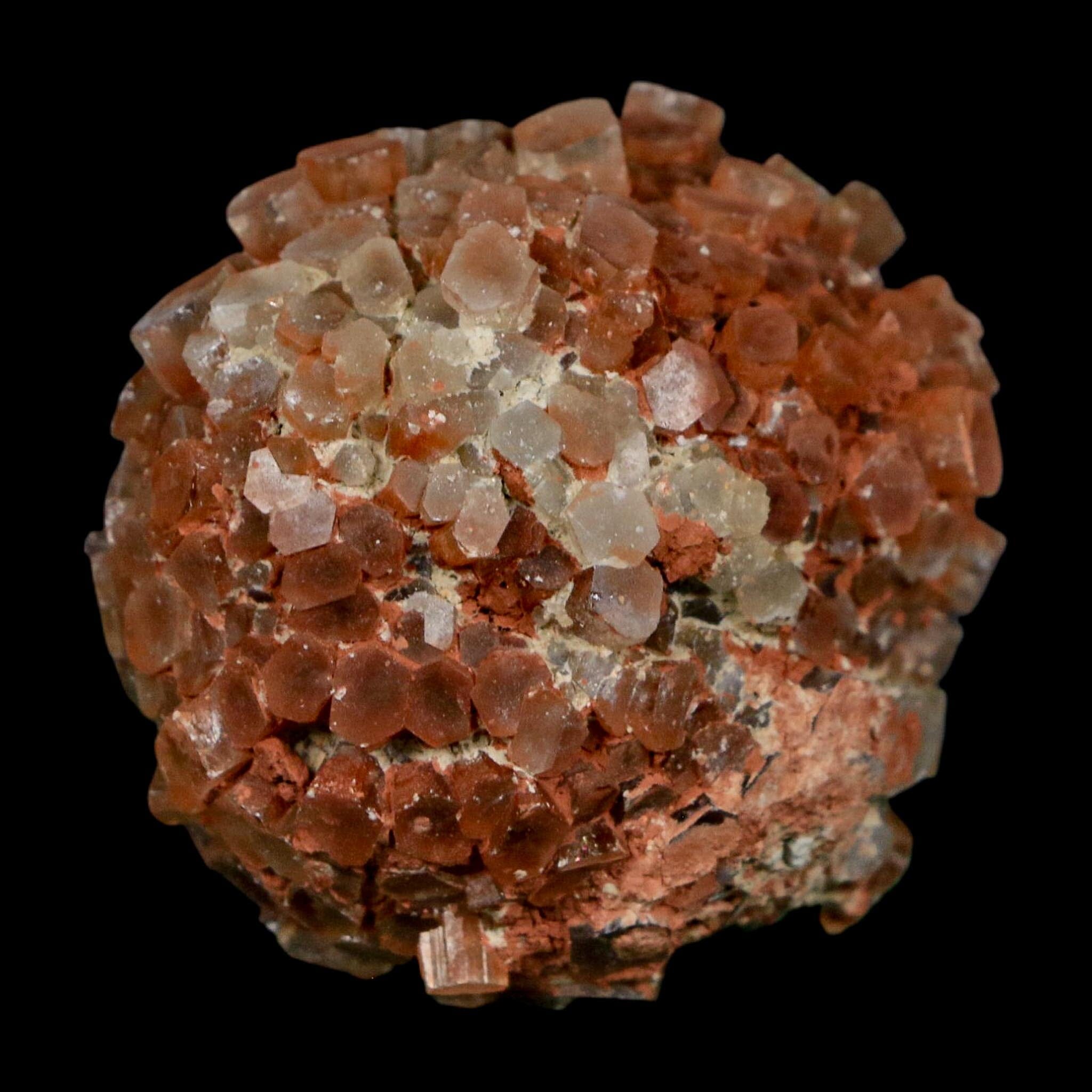 1.8" Aragonite Mineral Two Tone Crystal Cluster Specimen Tazouta Morocco - Fossil Age Minerals
