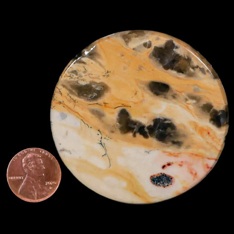60MM Chinese Picture Jasper Mineral Specimen Round Polished Slab Liaoning, China - Fossil Age Minerals