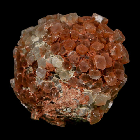 1.8" Aragonite Mineral Two Tone Crystal Cluster Specimen Tazouta Morocco