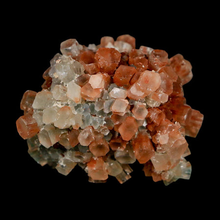 2" Aragonite Mineral Two Tone Crystal Cluster Specimen Tazouta Morocco