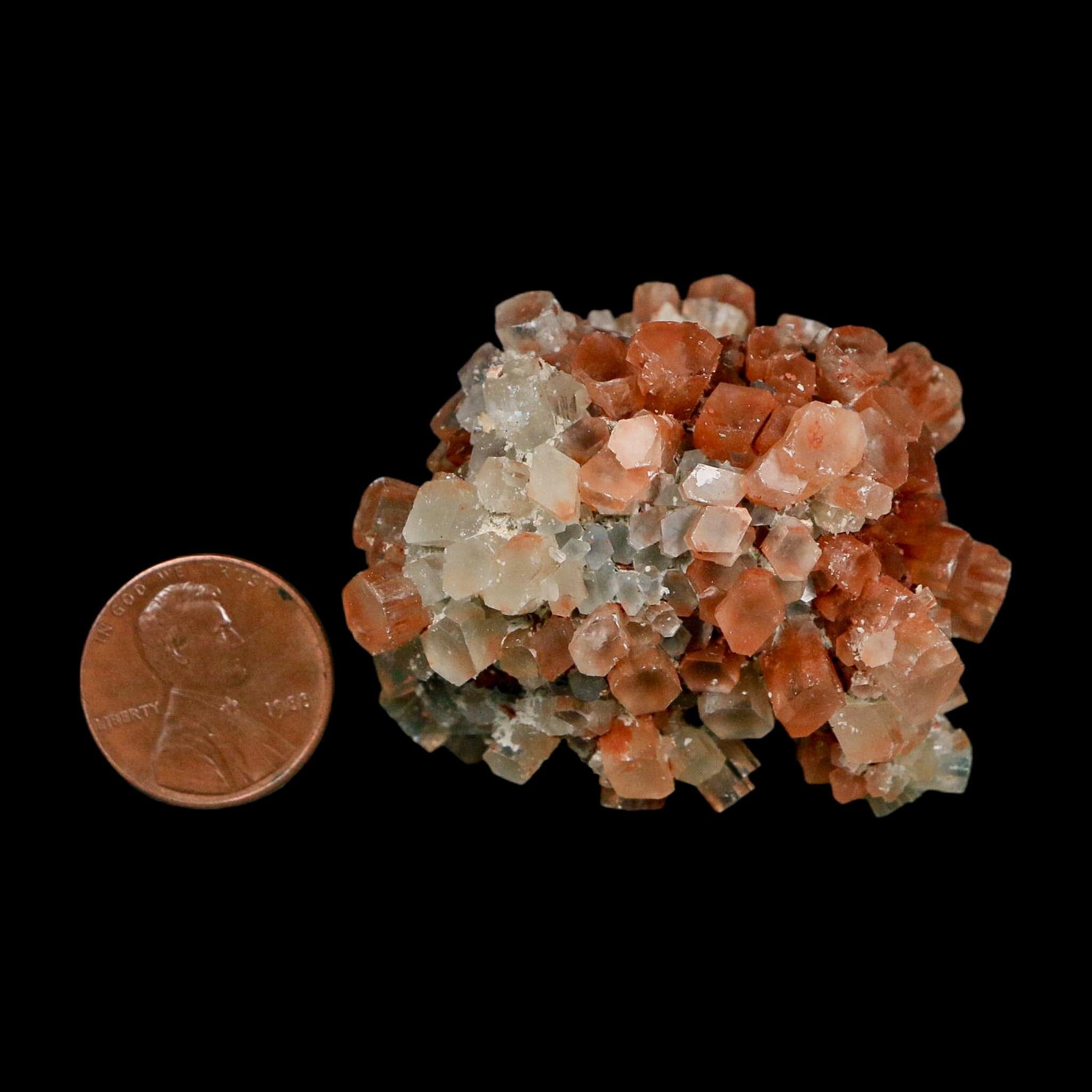 2" Aragonite Mineral Two Tone Crystal Cluster Specimen Tazouta Morocco - Fossil Age Minerals