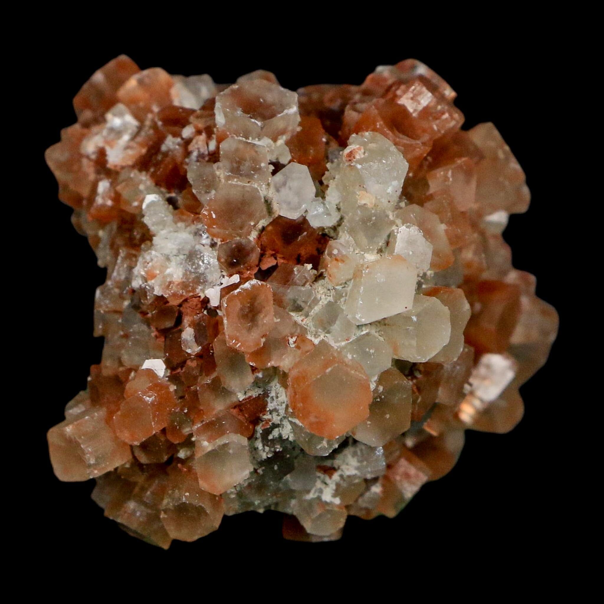 2" Aragonite Mineral Two Tone Crystal Cluster Specimen Tazouta Morocco - Fossil Age Minerals