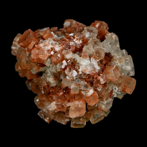2" Aragonite Mineral Two Tone Crystal Cluster Specimen Tazouta Morocco