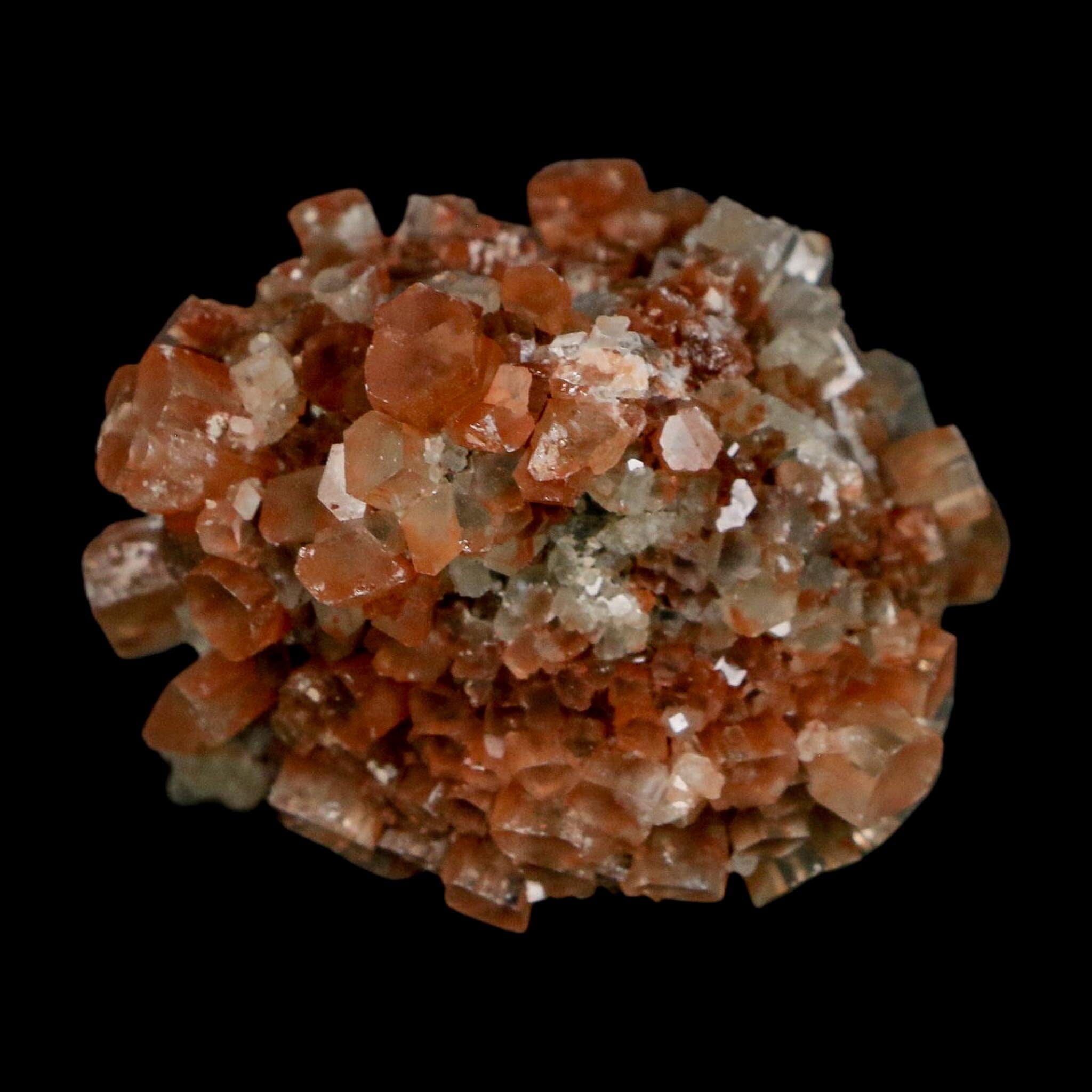 2" Aragonite Mineral Two Tone Crystal Cluster Specimen Tazouta Morocco - Fossil Age Minerals