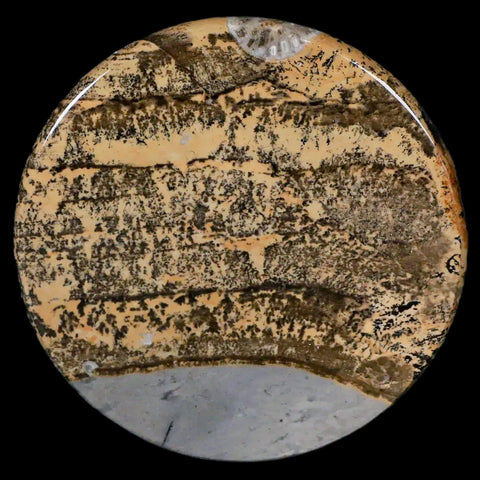 61MM Chinese Picture Jasper Mineral Specimen Round Polished Slab Liaoning, China - Fossil Age Minerals