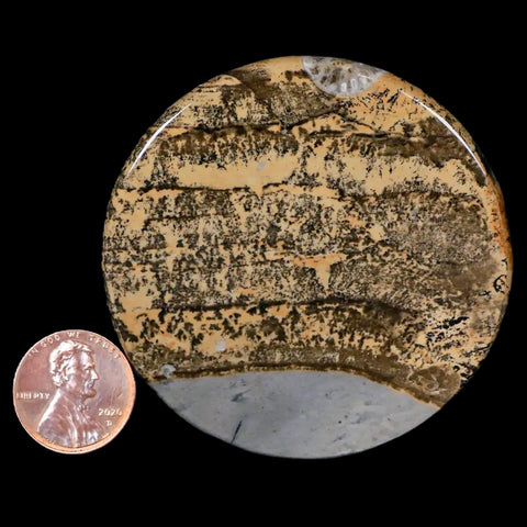 61MM Chinese Picture Jasper Mineral Specimen Round Polished Slab Liaoning, China - Fossil Age Minerals