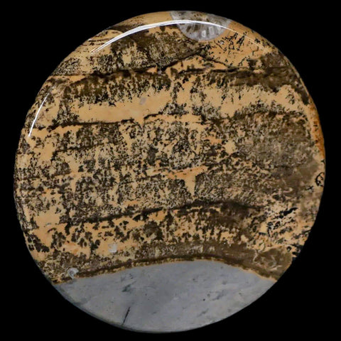 61MM Chinese Picture Jasper Mineral Specimen Round Polished Slab Liaoning, China - Fossil Age Minerals