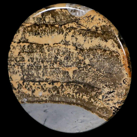 61MM Chinese Picture Jasper Mineral Specimen Round Polished Slab Liaoning, China - Fossil Age Minerals
