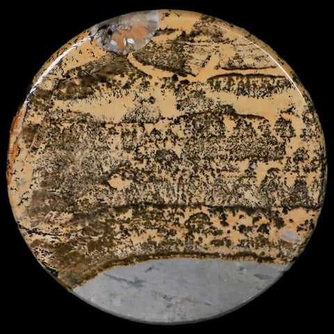 61MM Chinese Picture Jasper Mineral Specimen Round Polished Slab Liaoning, China - Fossil Age Minerals