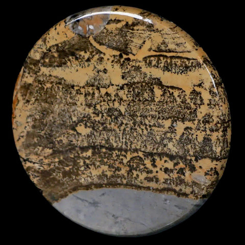 61MM Chinese Picture Jasper Mineral Specimen Round Polished Slab Liaoning, China - Fossil Age Minerals