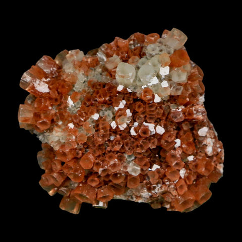 2.1" Aragonite Mineral Two Tone Crystal Cluster Specimen Tazouta Morocco