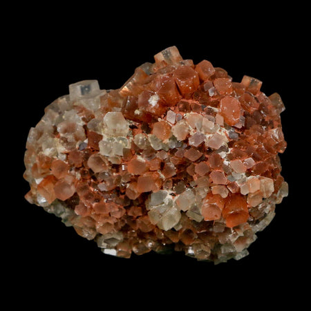 2.2" Aragonite Mineral Two Tone Crystal Cluster Specimen Tazouta Morocco