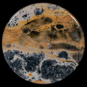 60MM Chinese Picture Jasper Mineral Specimen Round Polished Slab Liaoning, China