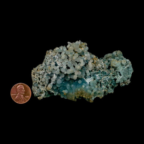 3.6" Green Grape Agate Botryoidal Crystal Druzy Cluster Mineral Sulawesi Island