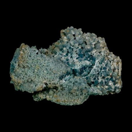 3.6" Green Grape Agate Botryoidal Crystal Druzy Cluster Mineral Sulawesi Island