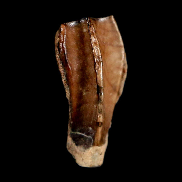 0.4