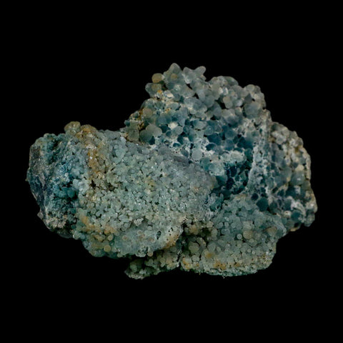 3.6" Green Grape Agate Botryoidal Crystal Druzy Cluster Mineral Sulawesi Island