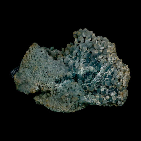 3.6" Green Grape Agate Botryoidal Crystal Druzy Cluster Mineral Sulawesi Island