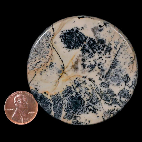 60MM Chinese Picture Jasper Mineral Specimen Round Polished Slab Liaoning, China - Fossil Age Minerals