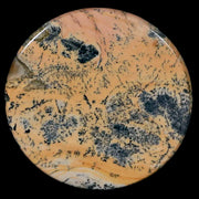 61MM Chinese Picture Jasper Mineral Specimen Round Polished Slab Liaoning, China