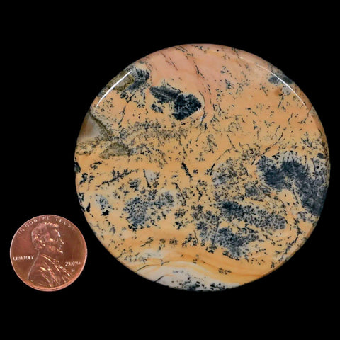 61MM Chinese Picture Jasper Mineral Specimen Round Polished Slab Liaoning, China - Fossil Age Minerals