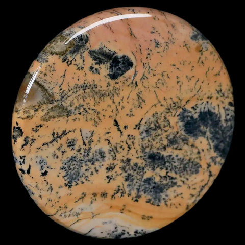 61MM Chinese Picture Jasper Mineral Specimen Round Polished Slab Liaoning, China - Fossil Age Minerals