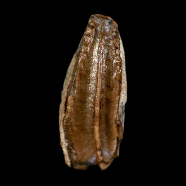 0.5