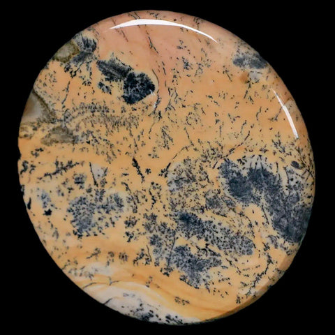 61MM Chinese Picture Jasper Mineral Specimen Round Polished Slab Liaoning, China - Fossil Age Minerals
