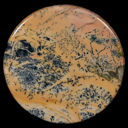 61MM Chinese Picture Jasper Mineral Specimen Round Polished Slab Liaoning, China