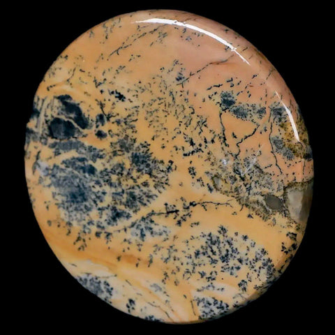 61MM Chinese Picture Jasper Mineral Specimen Round Polished Slab Liaoning, China - Fossil Age Minerals