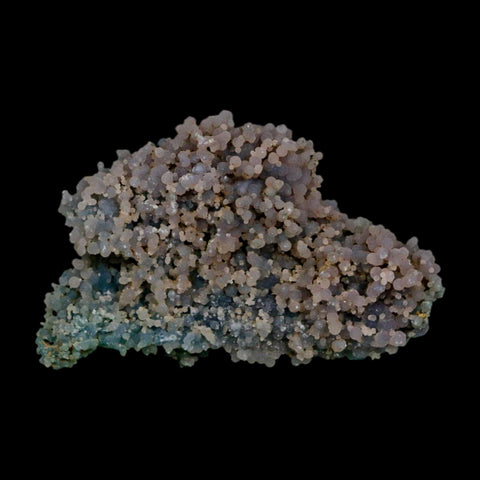 2.9" Purple Green Grape Agate Botryoidal Crystal Druzy Cluster Mineral Sulawesi Island