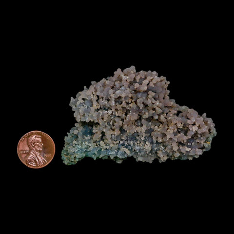 2.9" Purple Green Grape Agate Botryoidal Crystal Druzy Cluster Mineral Sulawesi Island
