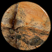 60MM Chinese Picture Jasper Mineral Specimen Round Polished Slab Liaoning, China