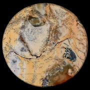 60MM Chinese Picture Jasper Mineral Specimen Round Polished Slab Liaoning, China