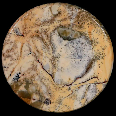 60MM Chinese Picture Jasper Mineral Specimen Round Polished Slab Liaoning, China