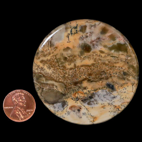 60MM Chinese Picture Jasper Mineral Specimen Round Polished Slab Liaoning, China - Fossil Age Minerals